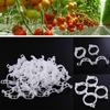 100Pcs Plastic Vine Fixing Clip, Pumpkin Vine Tying Clip, Agricultural Hanging Vine Supporting Vine Tying Branch Plant Fixing Clip