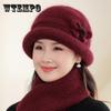 Autumn and Winter Hats Women's Wool Hats Fleece Cold-proof Cotton Basin Hats Knitted Hats