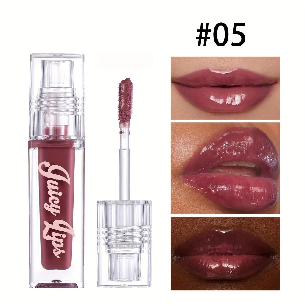 High Gloss Liquid Lip Gloss Hydrating and Moisturizing Plumping Lip Glaze  Brown Shades, Shimmer Finish Lipstick Gift