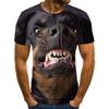 Summer Round Neck 3D Pet Dog Print Top Fashionable Casual Short Sleeved Men's T-shirts