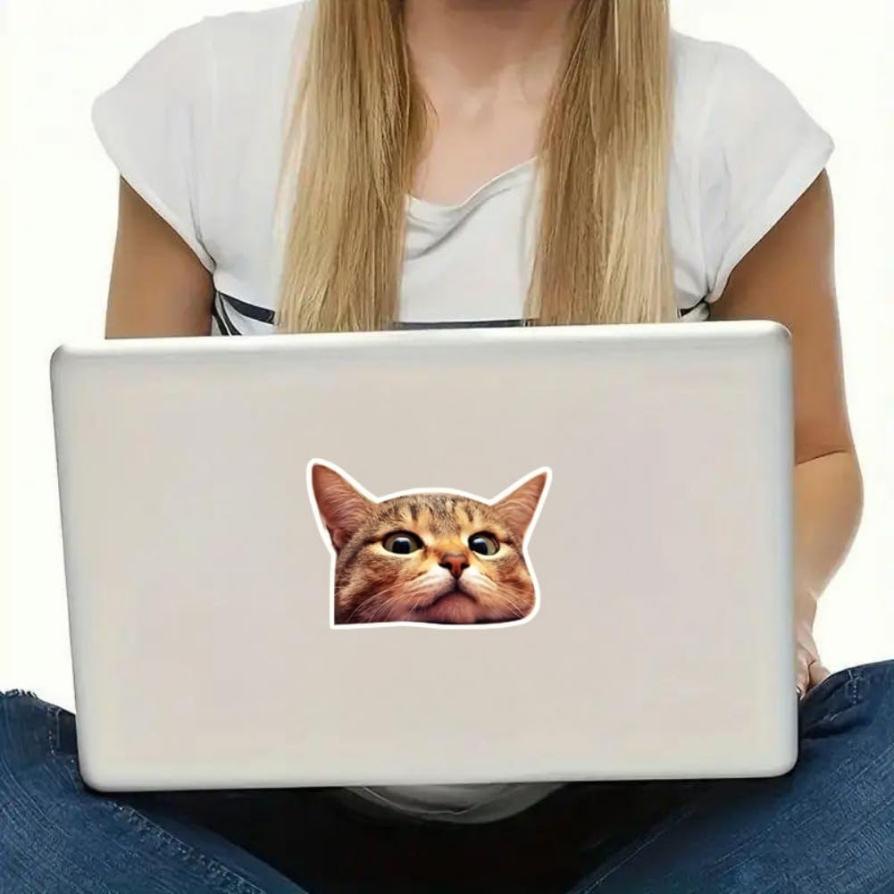 Милая виниловая наклейка на окно с кошкой 5"x3.5" (Набор из 2) Водонепроницаемый Автомобиль Грузовик Внедорожник Ноутбук Стекло Стена В помещении На улице | #AZ142