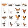 Toys Miniature Cycle Duck Figurine Life Cycle Figures White Goose Growth Cycle Simulation