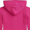 Polo Ralph Lauren Solid Cable Knit Zip-Up Hoodie Детские свитера Magenta 313916533-005