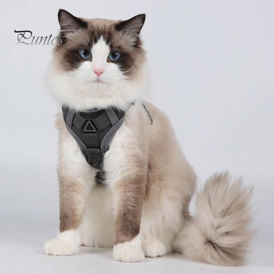 Шлейка и поводок для кошек, куртка со светоотражающими полосками, дышащий регулируемый жилет, поводок для побега, легкий контрольный поводок для кошек