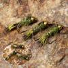 6pcs Barbed Tungsten Bead Head Jig Nymph Fly Pheasant Tail Fast Sinking Wet Euro Nymph Fly Trout Fishing Lures Baits 14-18#
