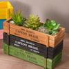 Wooden Box for Flower Display in Various Settings