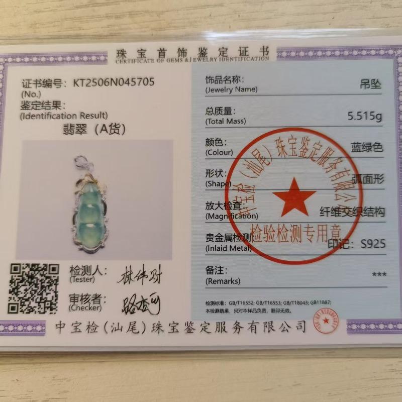 Sace Gems S925 Sterling Silver Certified 11*26MM Natual Jade Pendant Necklaces for Womne Engagement Cocktail Party Fine Jewelry