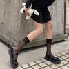 1 Pair Women Long Socks Lolita Mesh Ultra-thin See-through Match Skirt Solid Color Japanese College Style Mid Tube Socks Cosplay Clothing