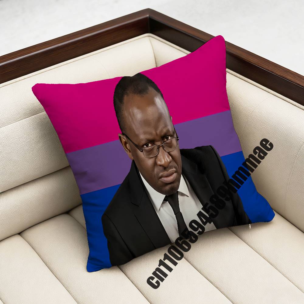 For xcm xcm Square Car Pillowcase Why Are You Gae Meme Uganda USA America Throw Pillow Case Sham Pad Cushion LGBT Cover