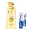 Crest Toothpaste & Lux Shower Gel Bundle