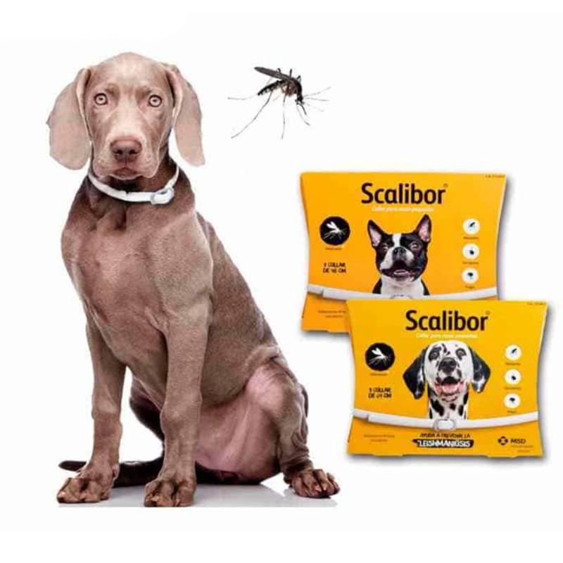 Регулируемый ошейник от блох и клещей для собак из материала TPR