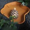 Stair Design Reptiles Water Basin Plastic Amphibian Water Bowl Turtle Bathing Basin  Lizard