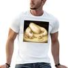 Sleeping Dragon TShirt t shirts designer Unisex t shirt summer Unisex graphic t shirt Tshirt