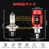Camelight Red Light CCFL Motorcycle LED Headlight H4 / HS1 Hi/Lo DC / 24V Universal White Light 6000K (Red)