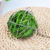 Rabbit Hay Feeder Wire Ball Accessories Stainless Steel with Hanging Hook
