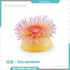 Marine Animals Ocean Animal Figurine Solid Sea Life Model Realistic Ocean Action Figure  Collection