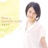 CD AKI MISATO - What a beautiful world LACM4714 Lantis 2010 Япония Японская поп/рок Б/У