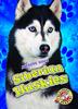 Книга Siberian Huskies
