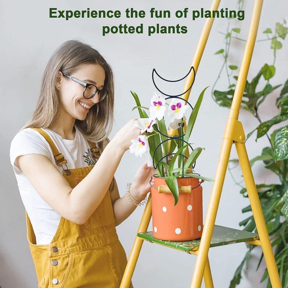 Универсальная шпалера для вьющихся растений, держатель для комнатных растений, цветов