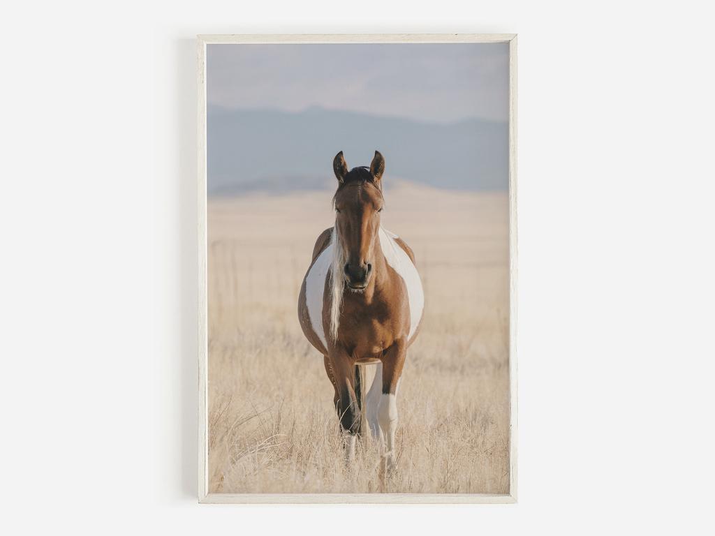 Wildlife Wall Art Western Country Rustic Print Buffalo Bull Elk Cowboy Horse Yellowstone Bison Canvas Painting Home Decor