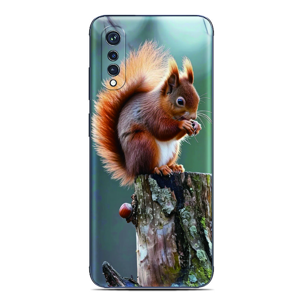 Фоточехол с белкой для Cubot A40 X100 A20 A10 Max 5 3 P80 P50 X70 X50 Note 60 50 21 Nothing CMF Phone 1 2 Pro 2a 3a Lite Чехол