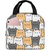 Insulated Lunch Bag Cute Chubby Cats Lunch Box Cartoon Kitten Animal Reusable Waterproof Lunch Tote Bag for School Work Picnic