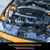 Carbon Fiber Radiator Cover & Hood Latch Guard for 2018-2023 Ford Mustang