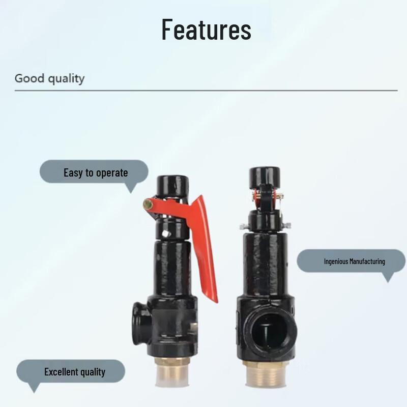 Qingwa A27W Cast Iron Threaded Full Lift Safety Valve