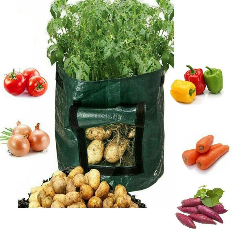 Practical And Lightweight Garden Plant Tools For Homegrown Food On Balconies And Patios