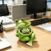 Decorative Succulent Planter Resin Plant Holder Creative Flower Container  Office
