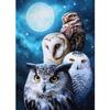 5D DIY алмазная живопись животное полная алмазная вышивка горный хрусталь кошка Орел домашний декор подарок мозаика художественная картина набор для вышивки крестом