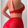 European and American new temperament underwear sexy lace hollow tube top one-piece sex suit