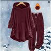 Autumn and Winter New Casual Women's Clothing Solid Color Plush Hooded Long Sleeved Pants Set for Women