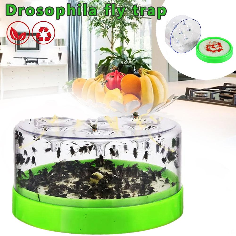 Reusable Fly Trap Fly Catcher Kitchen Flytrap Outdoor Wasp Fly Trap Catcher Beekeeping Catcher CageInsect Reject Catcher
