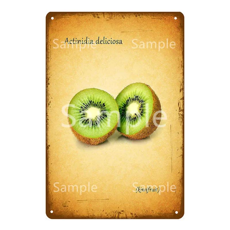 Памятная доска Thatchers Фрукты Бананы Металлическая вывеска Винтажное украшение фермы Домашний декор Наклейка на стену Магазин Живопись Постер для ресторана YL168