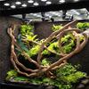 Large Flexible Reptile Vines Habitat Decor Bendable Jungle Climber Reptile Pet Supplies Reptiles Terrarium Decoration 1.5/2.5/3m