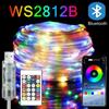 WS2812B Bluetooth USB LED String Fairy Lights Dreamcolor RGBIC DIY Party Festival Tree Lights Wedding Decoration Garland Lamp