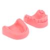 2Pcs Dental Oral Gum Suture Training Module Silicone Periodontitis Suture Model