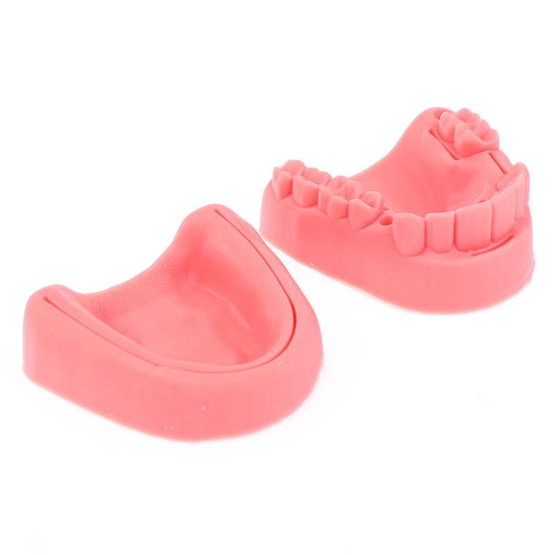 2Pcs Dental Oral Gum Suture Training Module Silicone Periodontitis Suture Model