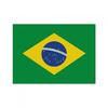 Printwear Polyester Brazil Flag