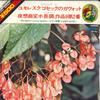 7-дюймовая пластинка МИША ЭЛЬМАН, ДЖОЗЕФ ЗЕЙГЕР - Юмореска; Гавот / Ноктюр ми мажор FS8 KING Япония Классика Б/У