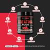 Healthy Fusion Creatine Monohydrate Powder | No Additives | Promotes Muscle Growth and Increases Physical Performance | 300g Watermelon Flavor