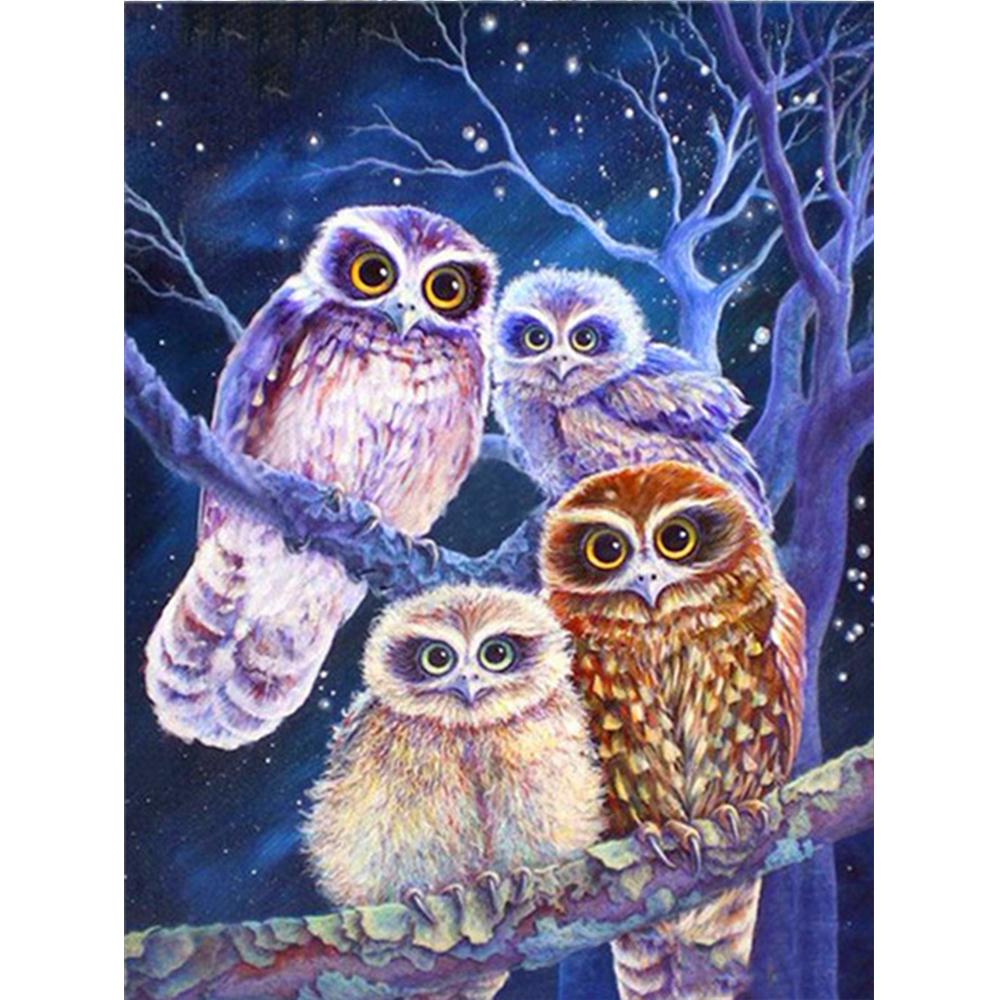 Алмазная картина Новая Сова 5D Алмазная вышивка Крестом Животные Стразы Мозаика Распродажа Decortion