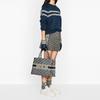 Dior Средняя сумка DIOR Book Tote - Кремовая и синяя вышивка DIOR Oblique M1296ZRIW-M928