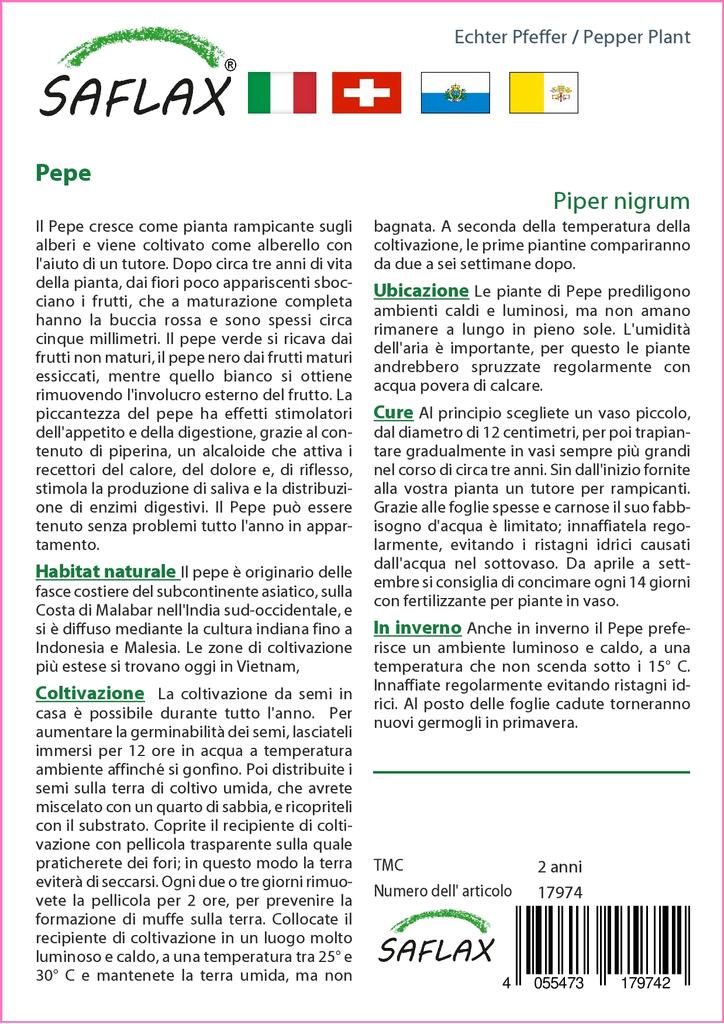 SAFLAX Garden in the Bag - Растение перца - 20 семян - С субстратом в подходящем пакете - Piper nigrum
