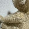 [USED] Steiff Teddy Bear Classic 00510