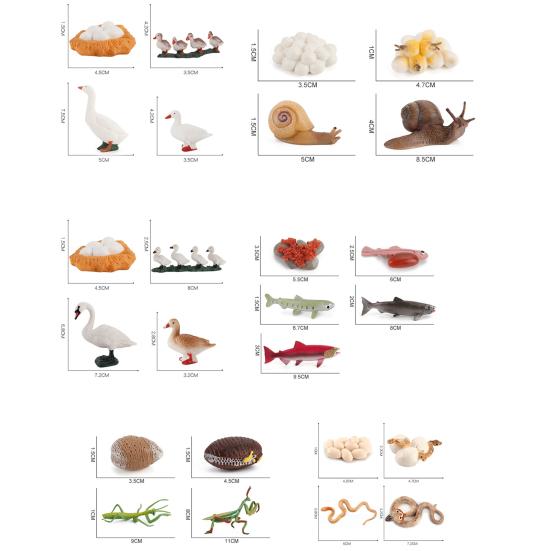 Модель игрушки Образовательный дизайн Раннее моделирование Пластиковые животные Цикл роста Миниатюрный цикл обучения животных