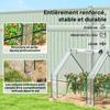 Mini Garden Greenhouse Mini Tunnel Greenhouse 4 Roll-up Zip Windows Steel PE 140 g/m² Anti-UV 360x90x90cm Transparent