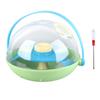 Turtle Hatching Station Scientific Feeding Animal Baby Breeding Box for Children Toys