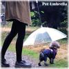 Новый прозрачный зонтик для домашних животных, щенок, подходит для дождливых и снежных дней